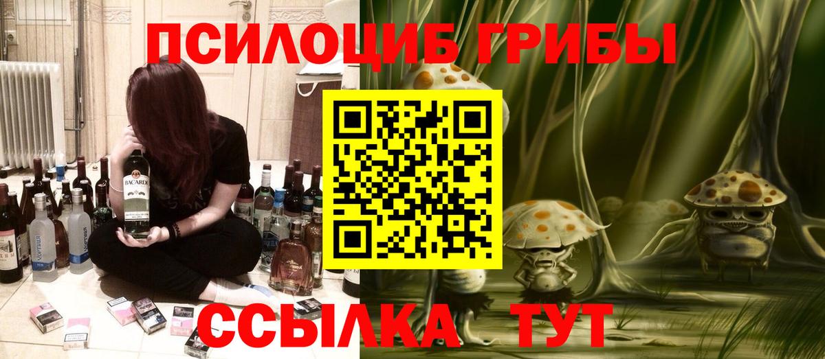 Псилоцибиновые грибы MAGIC MUSHROOMS Знаменск