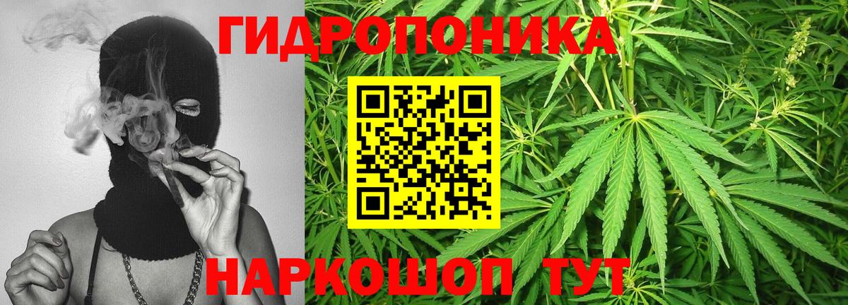 Конопля THC 21%  Канабис THC 21%  Знаменск  МАРИХУАНА тримм  Вход с VPN 